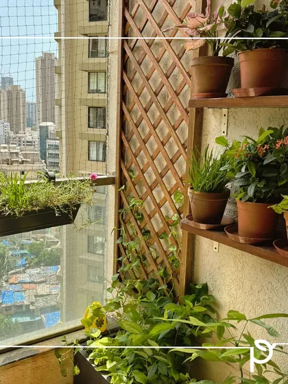 Even a compact city balcony can become a lush, green sanctuary. Here in a Mumbai high-rise, we used a combination of wooden shelving, a trellis for climbing plants, and terracotta pots to create a multi-layered garden that maximizes vertical space and brings nature indoors.