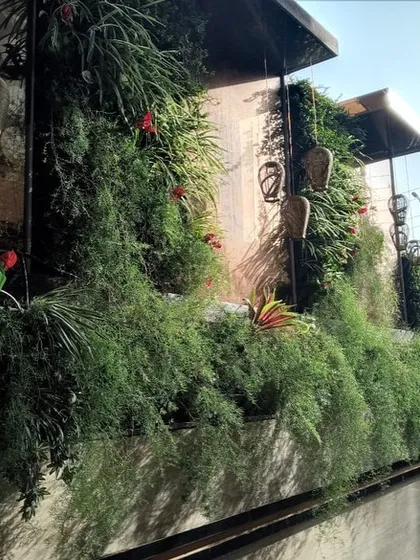 Here is a close look at a thriving living wall I installed on a residence in Noida. I carefully select real plants like these ferns and flowering species that cascade over the structure, creating a rich, natural texture that cools the air and looks incredible.