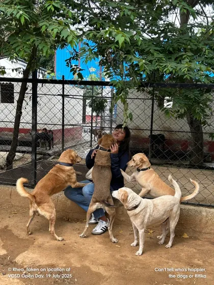 A visitor gets a group hug from some of our residents. It's hard to tell who is happier, the dogs or the humans.