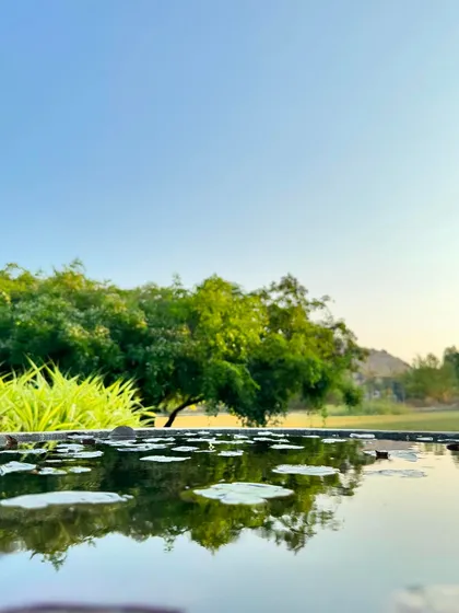 The lily pond in the morning light. We use these serene images to represent the quick, refreshing reset you can achieve with our shorter wellness packages.