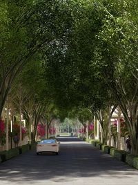 Landscape & Urban Design