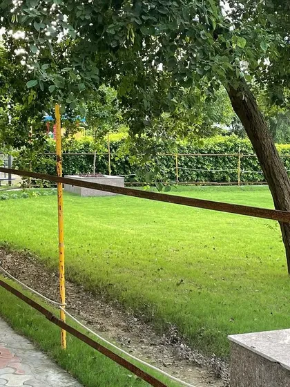 A view across the park's lawn, framed by mature trees. This shows how I work to preserve existing trees while integrating new landscaping elements for a balanced design.