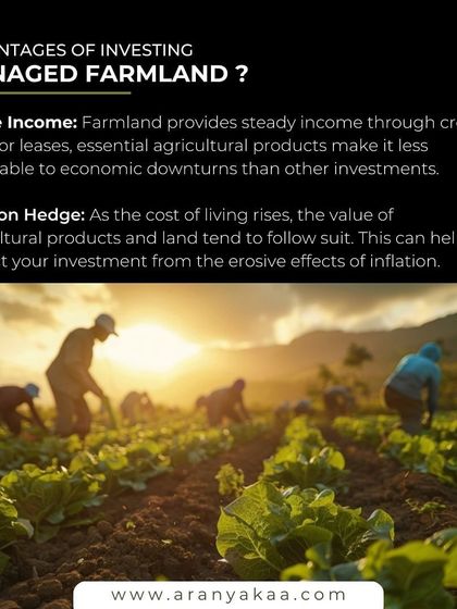 The advantages of investing in our managed farmland include stable income from crop yields, which are less vulnerable to economic downturns, and a natural hedge against inflation as land and commodity values rise.