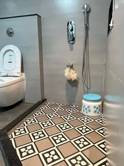 Another view of a modern bathroom, showing the separation of wet and dry areas using a floor-level partition and distinct tile patterns.
