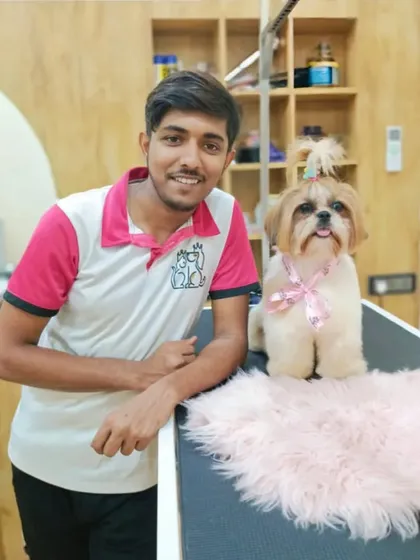 A picture-perfect moment with a freshly groomed Shih Tzu. Her top knot and pink bow are the perfect accessories.