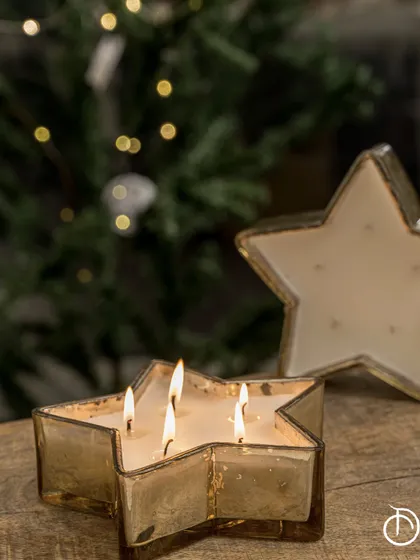 Holy Sparks, Santa's here! Guided by the North Star, my Polaris Star scented candle is here to light up the season. The star-shaped vessel holds the captivating fragrance of Oud and Amber, perfect as a gift or for your own holiday decor.