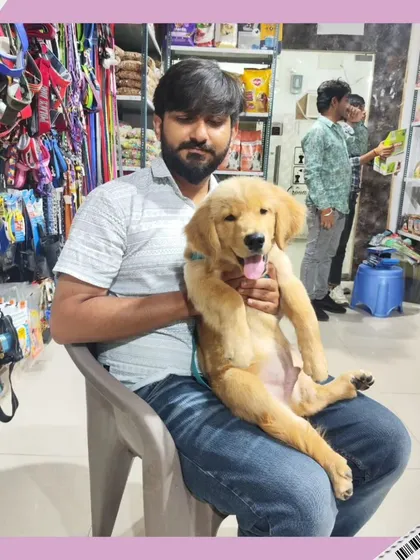 Look at this adorable Golden Retriever puppy relaxing in our store. We love when our clients, big and small, come to visit us for their grooming and supply needs.