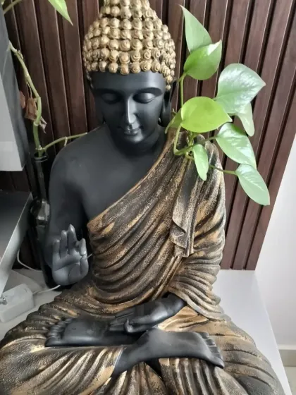 A client's photo showing how they've styled their black and gold Buddha statue. Placing a money plant vine around it is a lovely way to combine the calming statue with living greenery.