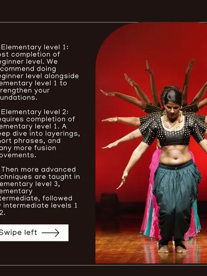 A breakdown of our elementary and intermediate levels. Each level builds on the last, introducing more advanced techniques and fusion movements.