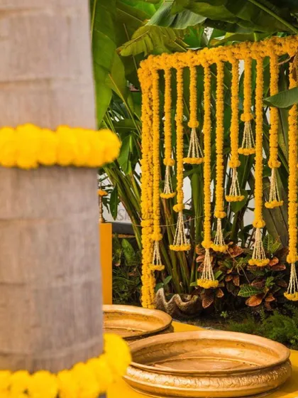 This is a simple haldi setup in a garden. I used hanging strings of yellow marigolds and white tuberoses as a backdrop, with two brass urlis placed on the ground, ready for the ceremony.