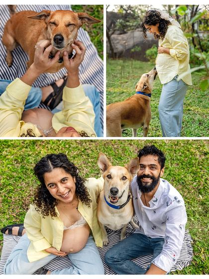 A collage capturing the playful and loving moments of a maternity shoot. From squishing a happy dog's face to a joyful family portrait, these images radiate warmth and happiness.