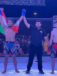 Mixed Martial Arts (MMA)