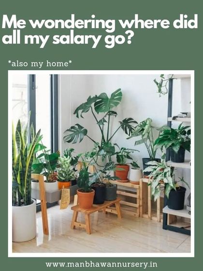 If you've ever wondered where your salary went and then looked at your beautiful collection of plants, you're part of the family. This is a fun nod to the wonderful addiction of plant parenting.