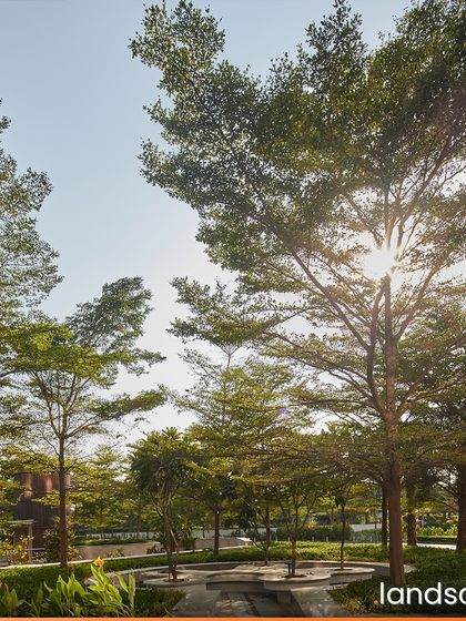 At the International Tech Park in Gurugram, we transformed the workspace into a green sanctuary. The landscape is filled with mature trees that provide a dense canopy, creating a cool and refreshing environment that feels like a retreat from the urban hustle.