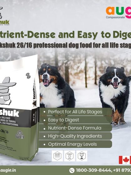 Augie Pets - Pet Supplies Fuel for Happy Hounds: Wholesome Dog Nutrition photo 26