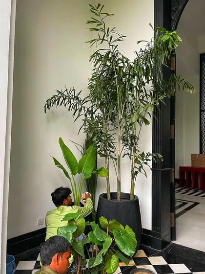 My team at work, ensuring every leaf and branch is perfectly placed. This level of detail is what makes our set greening services stand out.