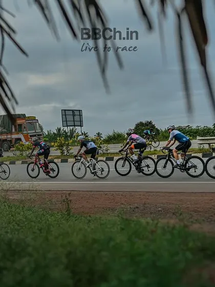 A creative shot of the peloton seen through the leaves of a palm tree, capturing the tropical vibe of the route.