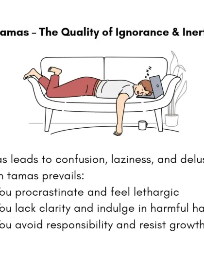 Rohit N - Yoga Teacher Training Yoga Philosophy: Wisdom for Modern Life photo 17