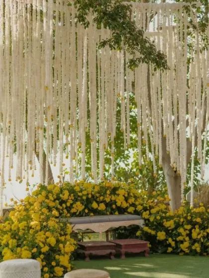 A romantic outdoor Haldi seating area under a tree. The decor features a stunning curtain of hanging white flowers and a bench surrounded by a bed of yellow blooms.
