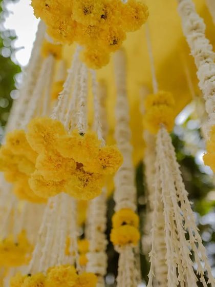 Our Team in Action photo 28