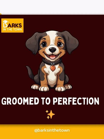 Groomed to perfection. This is the standard we hold ourselves to for every pet that comes through our doors.