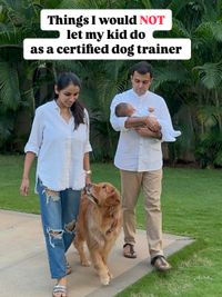 Dog and Child Safety & Integration