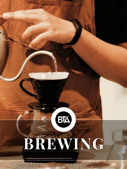 A barista performing a pour-over. This image represents the final step in the seed-to-cup journey: the brewing.