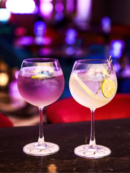 The Art of the Drink: Cocktails & Beverages photo 20