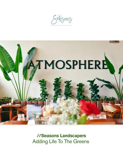 We designed the interiors of Atmosphere cafe to live up to its name. Here, tall bird of paradise plants and fiddle leaf figs frame the space, creating a sophisticated and natural ambiance for diners.