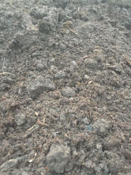 You can see the rich, dark texture of our compost in this photo. It's full of organic material that will help improve soil structure and fertility in your garden.