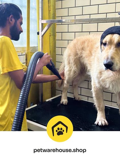 Pet Warehouse - Pet Grooming Services Our Grooming Spa in Action photo 7