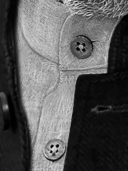 A detail shot of the collar from the Narendra Modi portrait. Even clothing gets the hyper-realistic treatment, with attention to fabric weave, texture, and button details.
