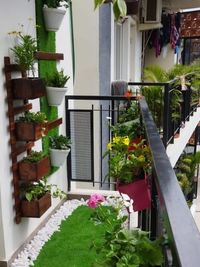 Interior & Exterior Plantscaping