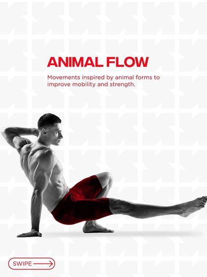 BlackBx - Active Recovery & Mobility Animal Flow: Primal Movement photo 3