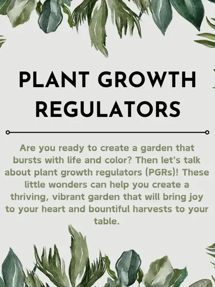 Plant Growth Regulators (PGRs) are little wonders that can help you create a thriving, vibrant garden. Let's talk about how these can help you achieve the garden of your dreams.