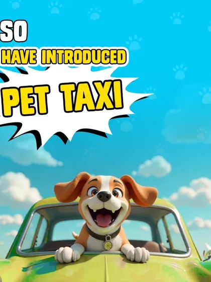 We are excited to introduce our professional pet taxi. This service was created as a solution for pet parents who need a reliable way to transport their furry friends around the city.