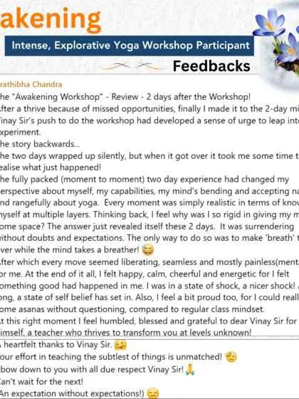 Yogavijnana - Specialized Yoga Workshops The Awakening Immersion: A Deeper Journey photo 10