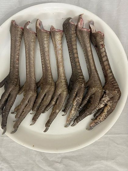 More of our high quality, raw turkey feet, ready to be packed. We ensure all our raw products are handled with the utmost care.