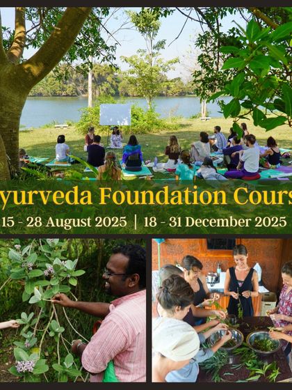 Our 100-hour Ayurveda Foundation Course is a complete immersion. You will learn dietary principles, massage, herbal preparations, and Ayurvedic cooking, all while living in our peaceful, natural setting.