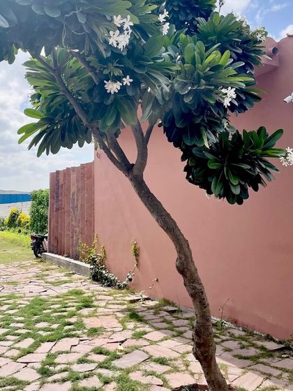 Rooted in Place: Local Materials & Techniques photo 4