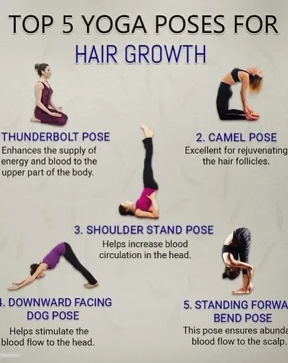 A visual guide to the top 5 yoga poses for hair growth. This chart explains how poses like Thunderbolt, Camel, and Shoulder Stand work to improve blood supply and rejuvenate hair follicles.