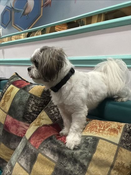 In-Cabin Comfort: For Our Smallest Travelers photo 3