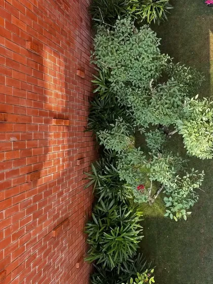 This collection shows various other details from our projects, both completed and in progress. It includes shots of material textures, interior furnishings, light studies, and moments of life that bring our architectural spaces to completion.