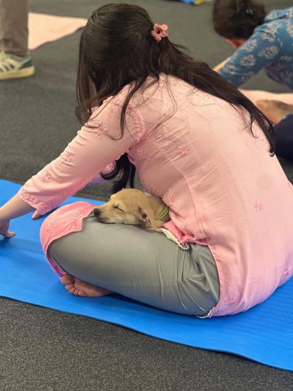 Sometimes the best part of yoga is the savasana, especially when a sleepy puppy decides to join you for a nap. This is relaxation on a whole new level.