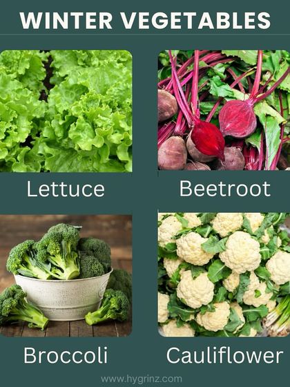 Hygrinz - Garden Design & Landscaping Your Guide to a Green Thumb photo 25