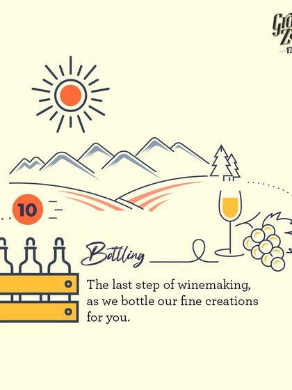 Bottling is the final step of the winemaking journey. Our fine white wine creations are carefully bottled, ready to be shared and savored.