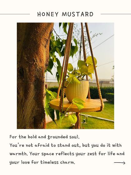 Our 'Swing Story' macrame hanger in Honey Mustard. This warm, golden ochre shade is for the bold and grounded soul who loves timeless charm. The 4-foot piece comes with a round shelf, perfect for your favorite greens.