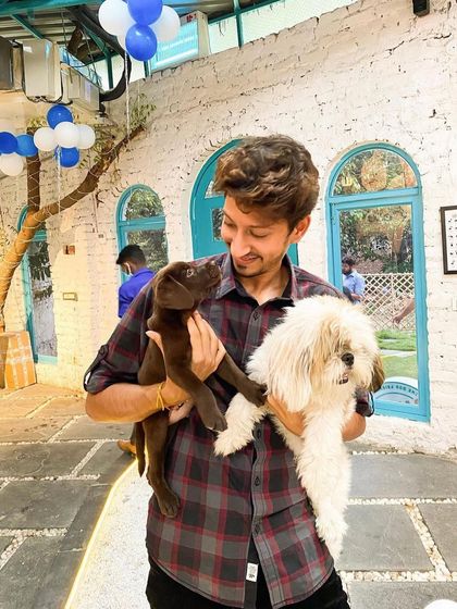 A moment with two beautiful dogs, a chocolate lab and a shih tzu. The variety of breeds you can meet here is amazing.