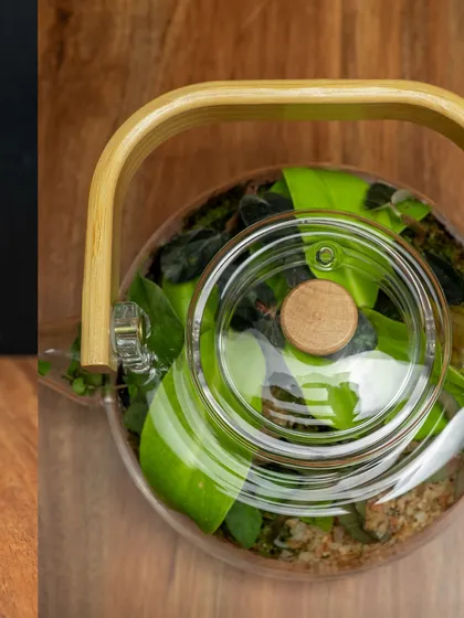 A top-down view of the teapot terrarium, showing how the plants fill the space. The wooden handle and lid add a warm, natural touch to the glass vessel.