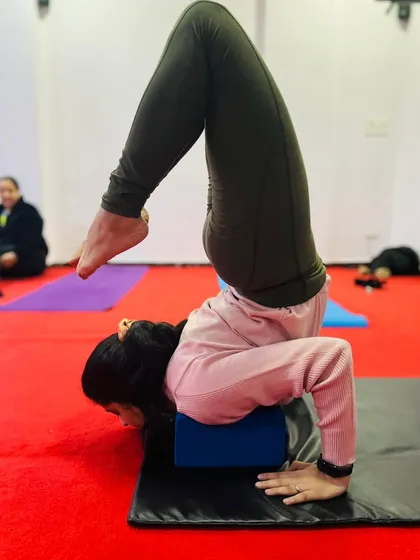 A yoga block placed under the chest provides support for a student practicing the initial stages of a forearm stand backbend. This builds strength and confidence.